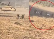 Pasukan Hizbullah Sergap Puluhan Pasukan Khusus Israel