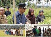 Penjabat Wali Kota Kotamobagu Pantau Langsung Ketersediaan Pangan Untuk Pengendalian Inflasi Jelang Natal dan Tahun Baru