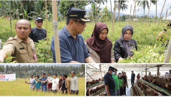 Penjabat Wali Kota Kotamobagu Pantau Langsung Ketersediaan Pangan Untuk Pengendalian Inflasi Jelang Natal dan Tahun Baru